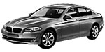 BMW F10 U0695 Fault Code